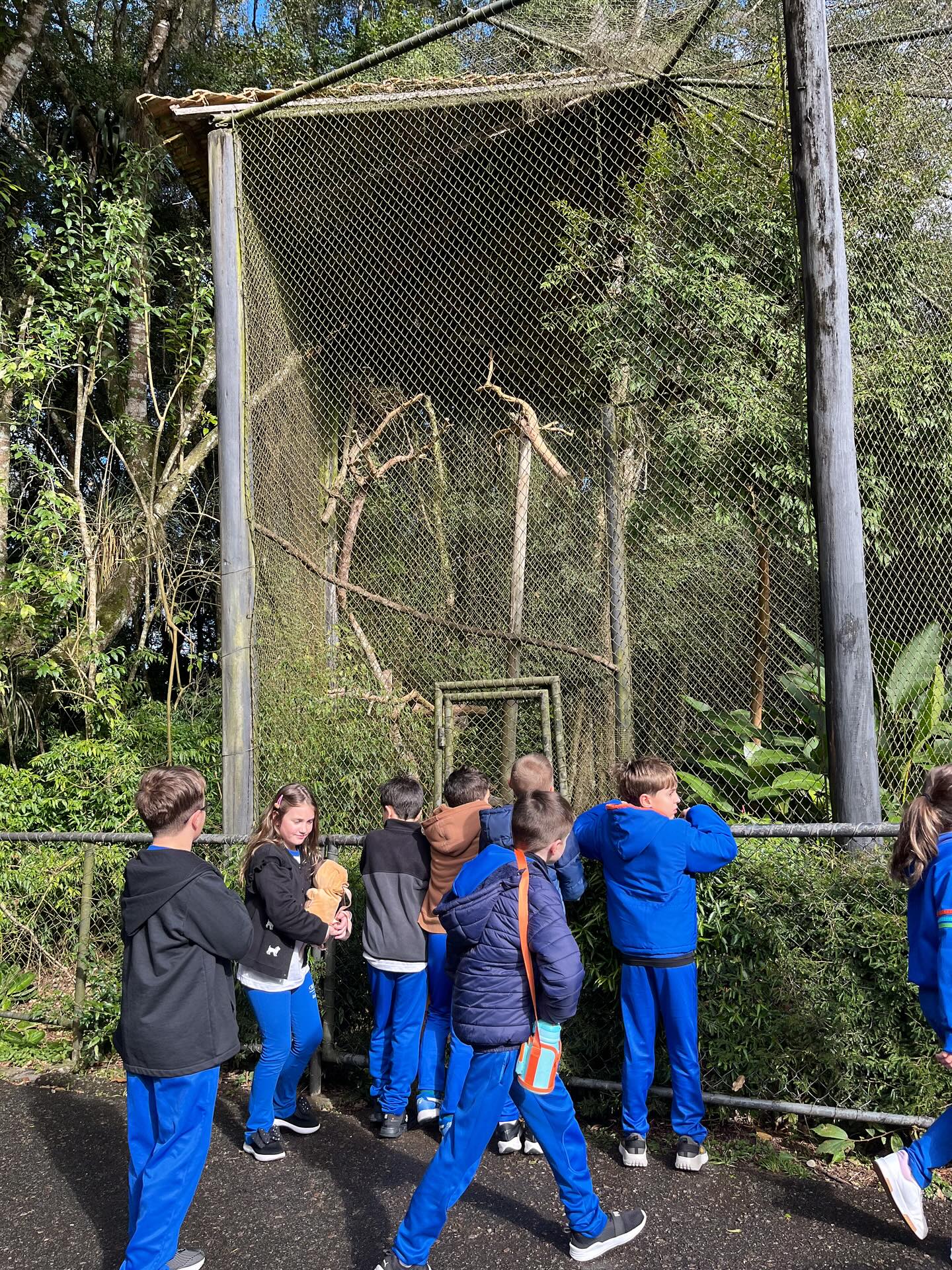 As turmas do 4º e 5º anos participaram de uma expedição investigativa em Curitiba, com visitas ao Zoológico e à Escola Municipal de Sustentabilidade. A proposta foi proporcionar aos alunos uma experiência prática de aprendizagem, explorando como esses espaços contribuem para o conhecimento sobre sustentabilidade e a preservação do meio ambiente. ✨🫶🏻🌳💚