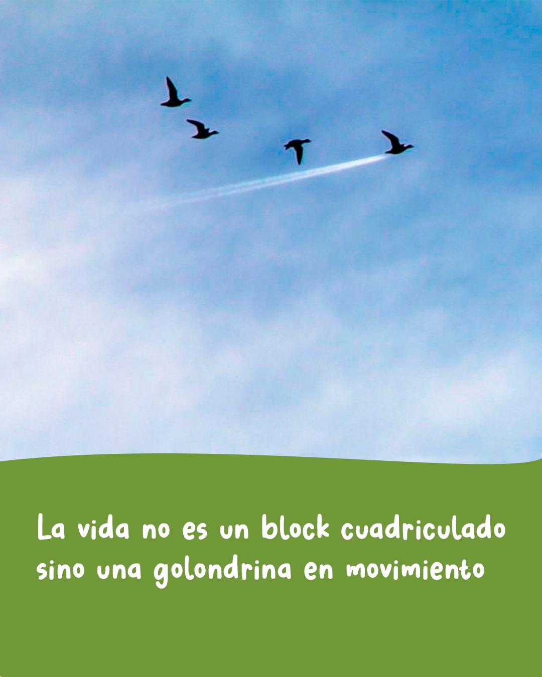 🎶 Jugar por Jugar. Temón de Joaquín Sabina!
📷 comedywildlifephoto.comTenemos un desafío para tutti la pipole:
En este carrusel las estrofas del tema están desordenadas...
Si numeran las estrofas originales (en sistema decimal) y le asignan el número correspondiente al carrusel van a encontrar un código secreto que les da acceso a un cupón por 25% de descuento en la compra de cualquiera de nuestros juegos en la tienda online*Comentá: "tesuperoenfreak" Que te mandamos el link... 🙄* Promoción válida para las primeras 3 cuentas que lo logren y hasta que dure el frio (ojalá que poco -.-)