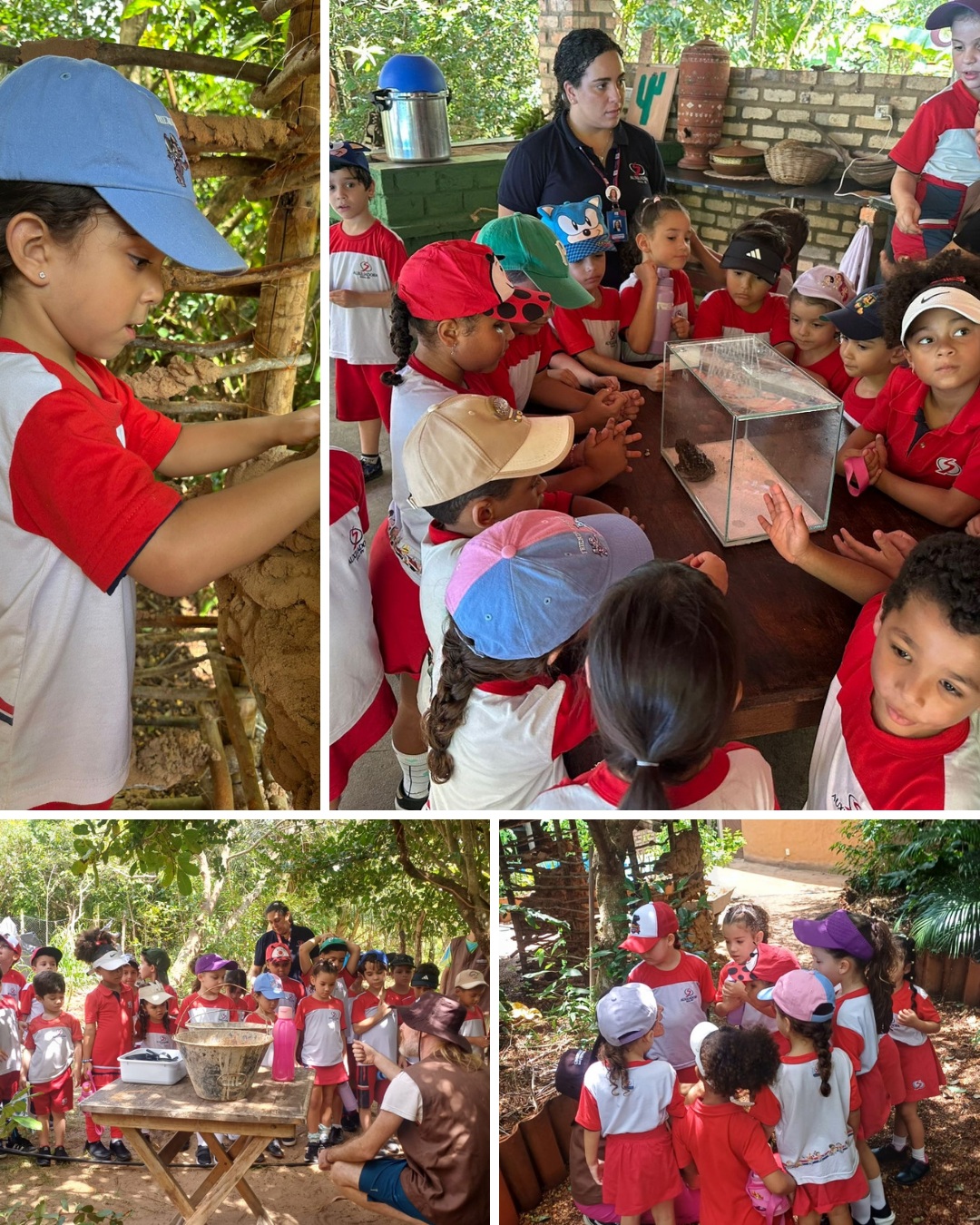 Aprender também é explorar, observar e viver novas experiências! 🌿🔎
As turmas dos Níveis IV e V e do 1º ano participaram de uma enriquecedora aula de campo na Comunidade das Formigas, em Pirangi. Em contato com o ambiente e com a realidade local, nossos alunos ampliaram seus conhecimentos de forma prática, curiosa e significativa.
Uma manhã de muitas descobertas, aprendizados e memórias especiais! 💙❤️
#ColégioAuxiliadora #AulaDeCampo #EducaçãoInfantil #EnsinoFundamental #AprenderNaPrática
