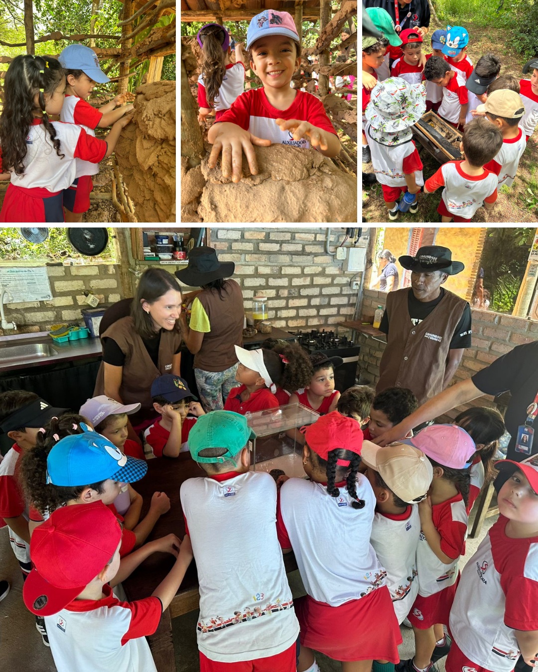 Aprender também é explorar, observar e viver novas experiências! 🌿🔎
As turmas dos Níveis IV e V e do 1º ano participaram de uma enriquecedora aula de campo na Comunidade das Formigas, em Pirangi. Em contato com o ambiente e com a realidade local, nossos alunos ampliaram seus conhecimentos de forma prática, curiosa e significativa.
Uma manhã de muitas descobertas, aprendizados e memórias especiais! 💙❤️
#ColégioAuxiliadora #AulaDeCampo #EducaçãoInfantil #EnsinoFundamental #AprenderNaPrática