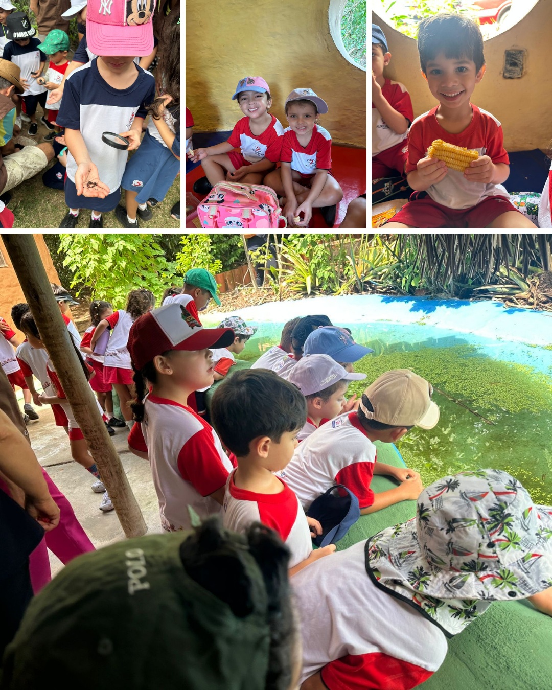Aprender também é explorar, observar e viver novas experiências! 🌿🔎
As turmas dos Níveis IV e V e do 1º ano participaram de uma enriquecedora aula de campo na Comunidade das Formigas, em Pirangi. Em contato com o ambiente e com a realidade local, nossos alunos ampliaram seus conhecimentos de forma prática, curiosa e significativa.
Uma manhã de muitas descobertas, aprendizados e memórias especiais! 💙❤️
#ColégioAuxiliadora #AulaDeCampo #EducaçãoInfantil #EnsinoFundamental #AprenderNaPrática