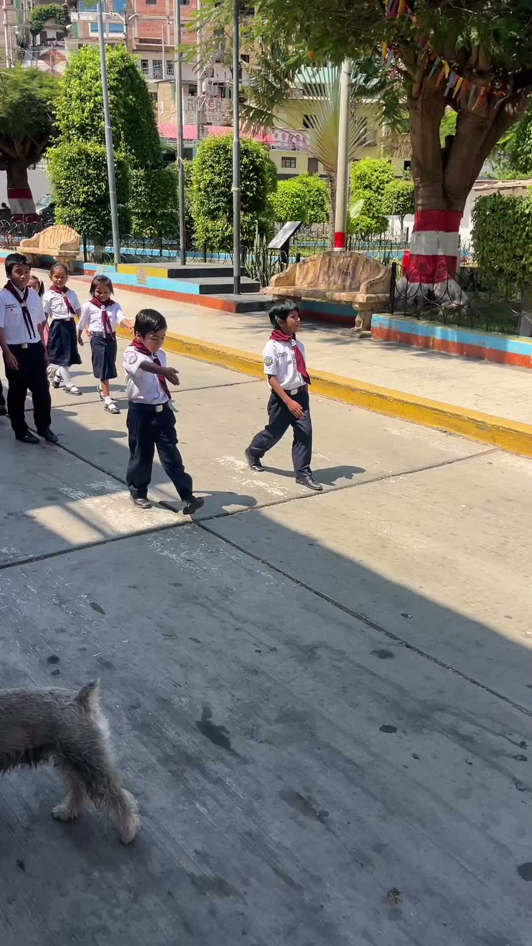 📍Chilete | Desfile Cívico organizado por la Iglesia Adventista del Séptimo Día #ChiletePe 📍Chilete | Desfile Cívico organizado por la Iglesia Adventista del Séptimo Día #ChiletePe